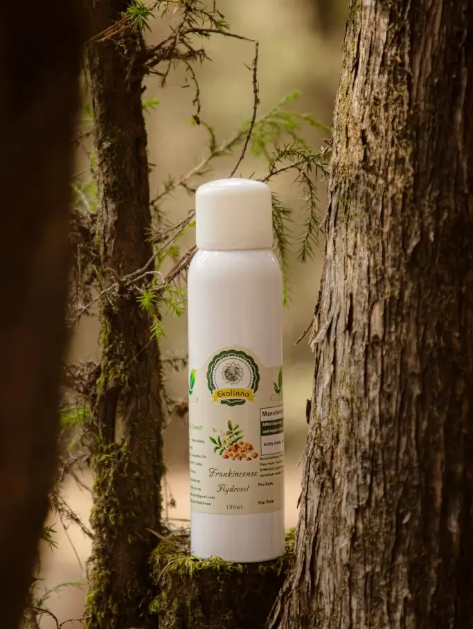 Ethiopian Frankincense Papyrifera Hydrosol